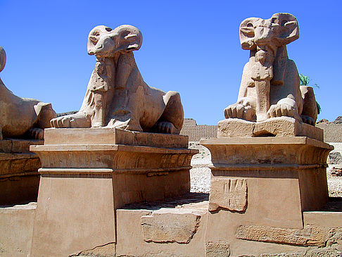 Fotos Luxor-Tempel | Luxor