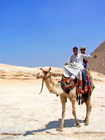  Fotografie Reiseführer  von Ägypten Rund um die Monumente trifft man auf viele Kameltreiber