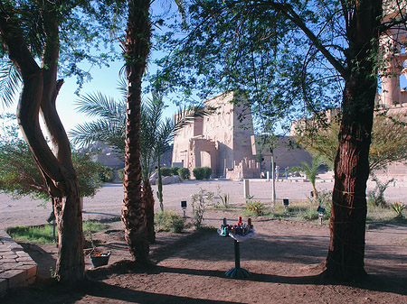 Tempel zwischen Bäumen Foto 
