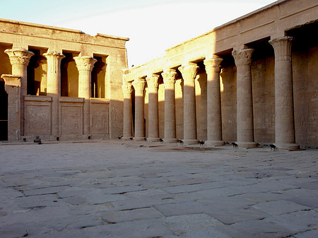 Horus Tempel Fotos