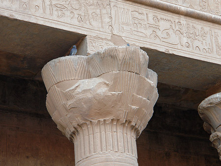 Foto Säulen - Edfu