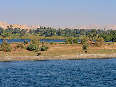 Ufer