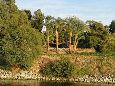Ufer