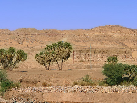 Berg