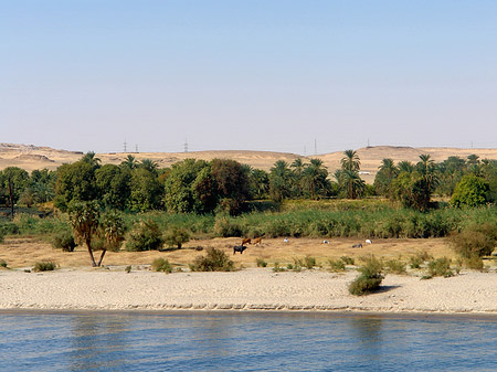Fotos Ufer
