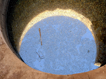 Foto Brunnen