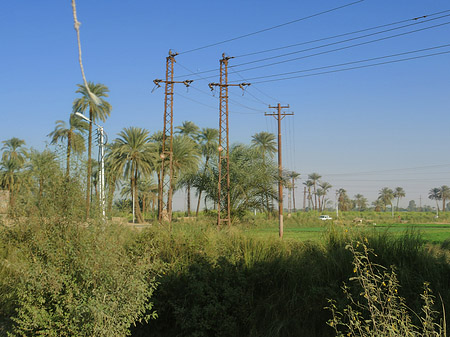 Ackerland