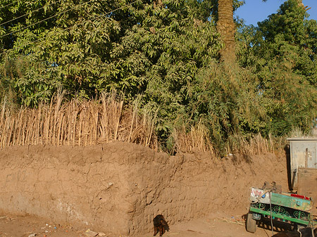 Fotos Dorf | Luxor