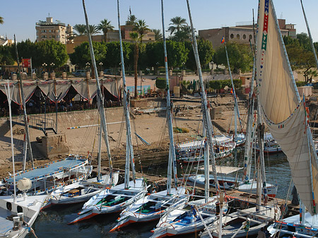 Felucca Fotos