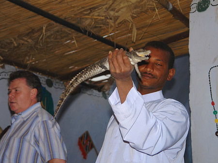 Mann mit Krokodil