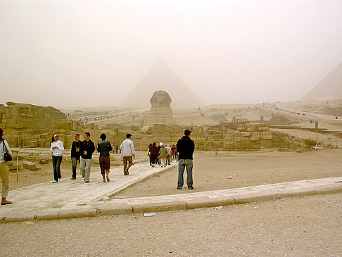 Foto Sphinx