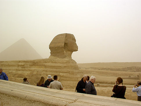 Foto Sphinx