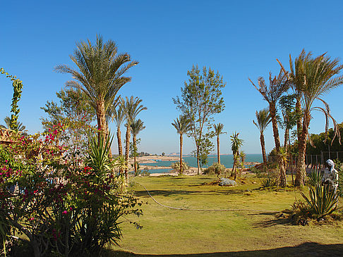  Foto Sehenswürdigkeit  Fuchtbare Landschaft Ägyptens im Niltal